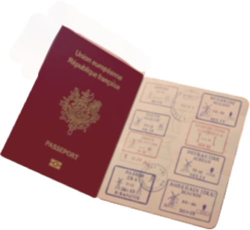 Lemon Square Lava Cake Chocolate Slider Pack